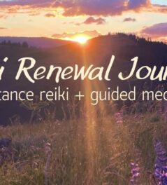 Reiki Renewal February 2026
